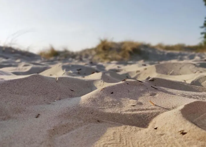 Apartamentai Millhouse Lt דירה פלאנגה