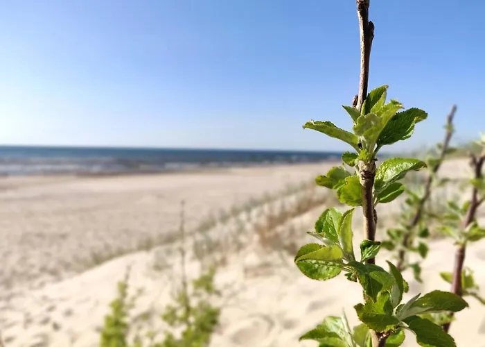 Lägenhet Apartamentai Millhouse Lt